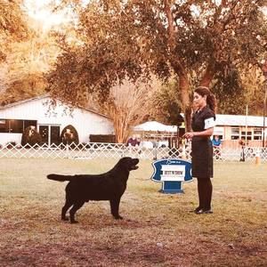 Meet your Posher, Janice